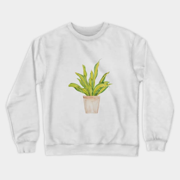 green indoor plant in brown pot watercolor 2 Crewneck Sweatshirt by colorandcolor